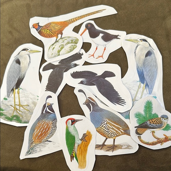 Colorful Bird Stickers Set - beautiful variety, multicolor - Picture 5 of 8